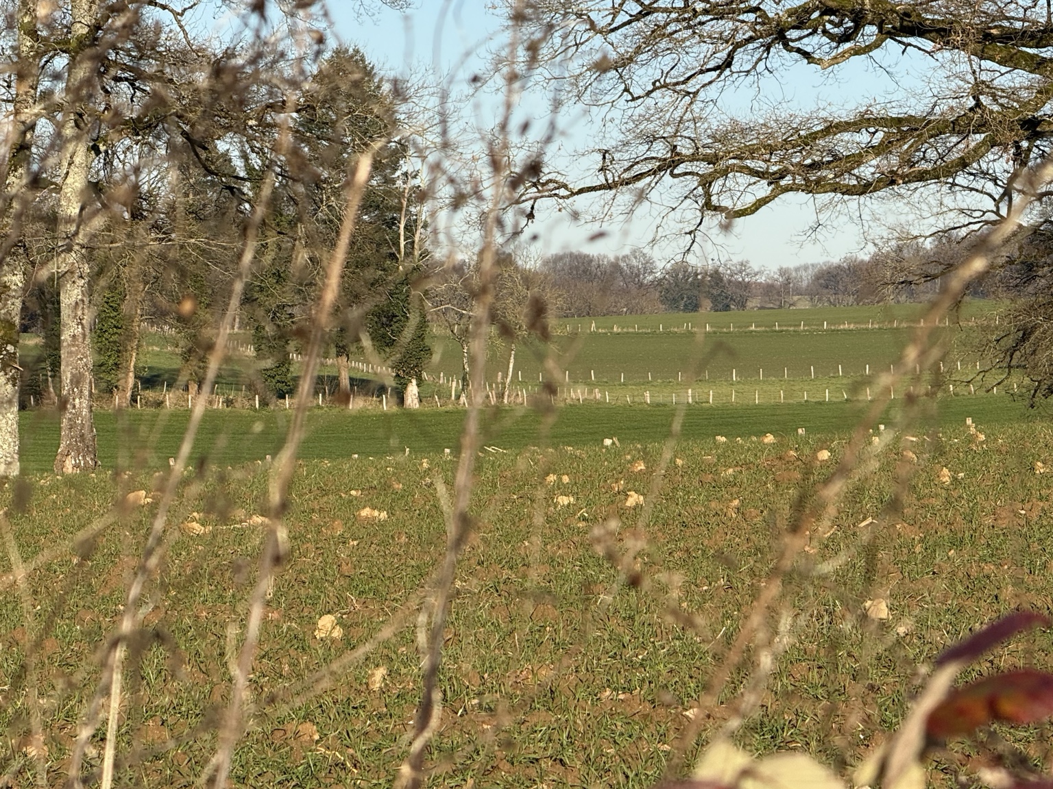 Vue associee au hameau de Marzac
