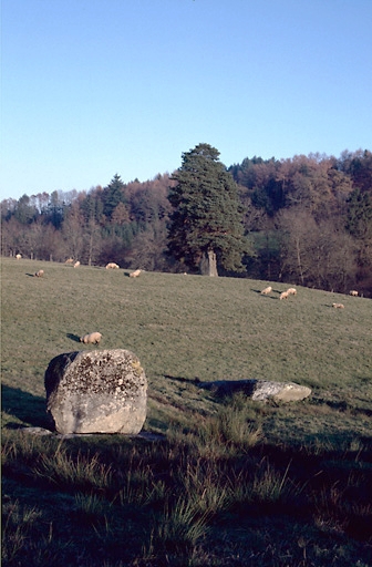 Vue associee au hameau de Le Metayer